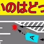 ゼブラゾーンを通行不可と誤認識している危険性…勘違いしている人が続出…